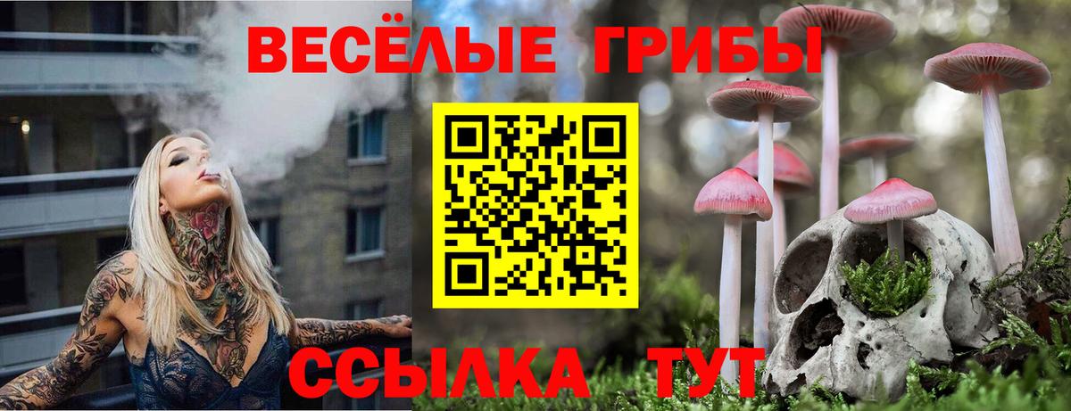 Псилоцибиновые грибы ЛСД Славгород