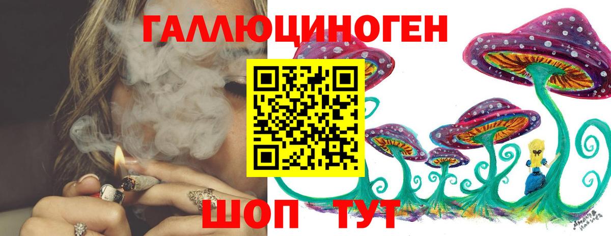 Псилоцибиновые грибы мицелий  наркотики  Славгород  Вход с VPN 